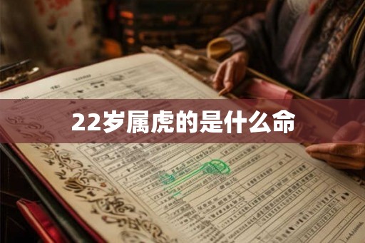 22岁属虎的是什么命