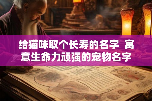 给猫咪取个长寿的名字 寓意生命力顽强的宠物名字 给猫咪取个长寿的名字 寓意生命力顽强的宠物名字