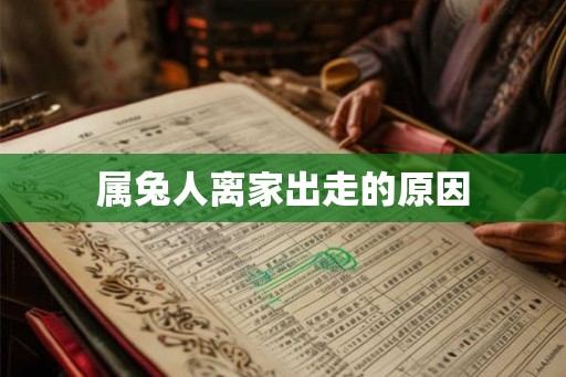 属兔人离家出走的原因