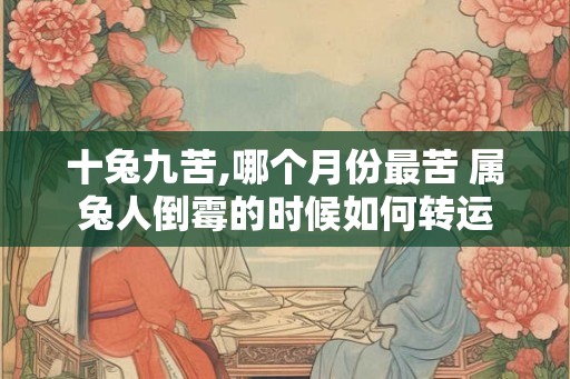十兔九苦,哪个月份最苦 属兔人倒霉的时候如何转运