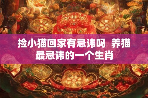 捡小猫回家有忌讳吗  养猫最忌讳的一个生肖