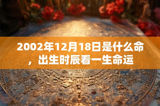 2002年12月18日是什么命，出生时辰看一生命运