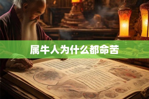 属牛人为什么都命苦