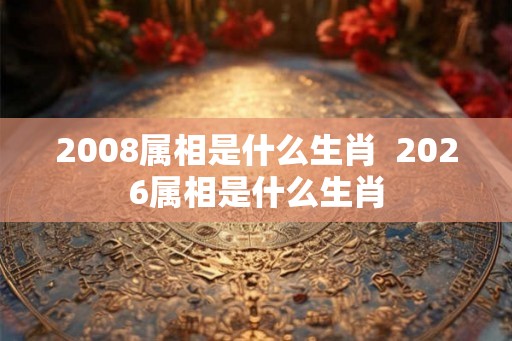 2008属相是什么生肖  2026属相是什么生肖