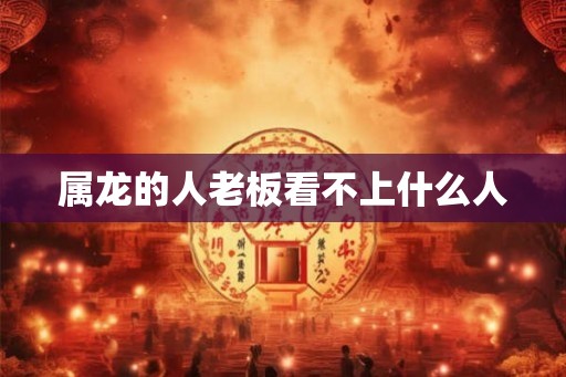 属龙的人老板看不上什么人
