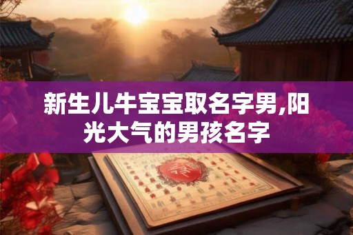 新生儿牛宝宝取名字男,阳光大气的男孩名字