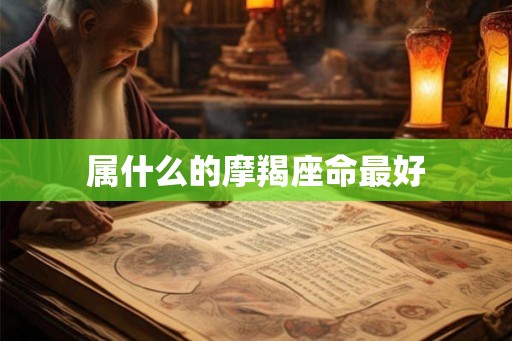 属什么的摩羯座命最好
