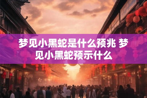 梦见小黑蛇是什么预兆 梦见小黑蛇预示什么