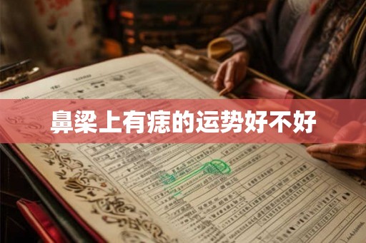 鼻梁上有痣的运势好不好