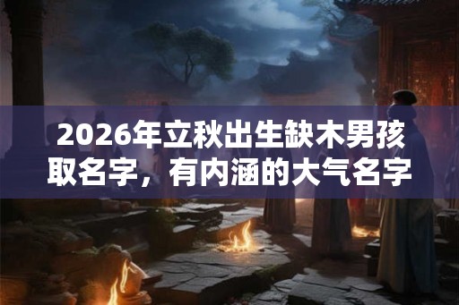 2026年立秋出生缺木男孩取名字，有内涵的大气名字