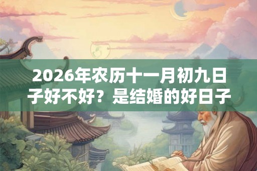 2026年农历十一月初九日子好不好？是结婚的好日子吗？