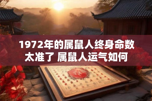 1972年的属鼠人终身命数太准了 属鼠人运气如何