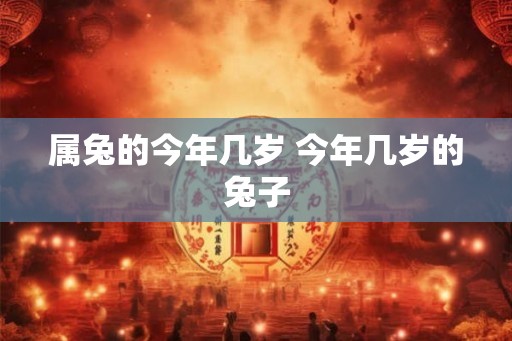 属兔的今年几岁 今年几岁的兔子