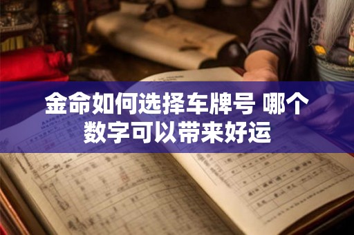 金命如何选择车牌号 哪个数字可以带来好运