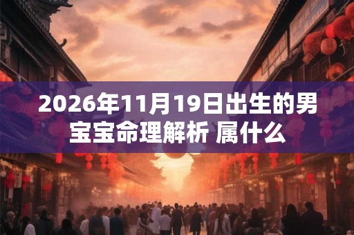 2026年11月19日出生的男宝宝命理解析 属什么
