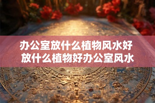 办公室放什么植物风水好 放什么植物好办公室风水