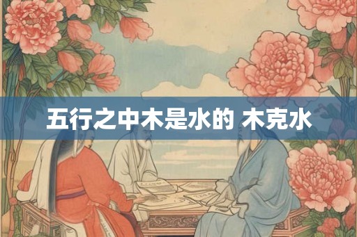 五行之中木是水的 木克水