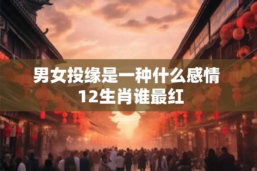 男女投缘是一种什么感情  12生肖谁最红