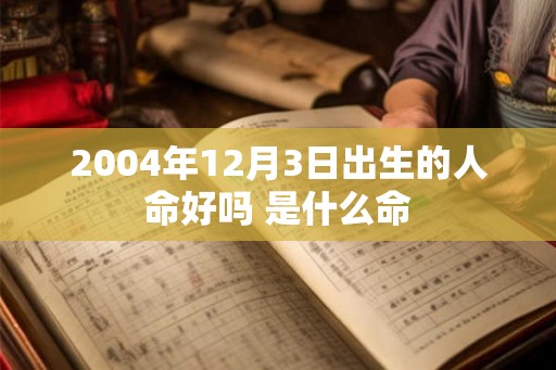 2004年12月3日出生的人命好吗 是什么命