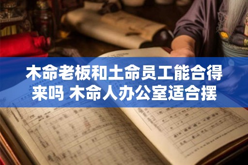 木命老板和土命员工能合得来吗 木命人办公室适合摆放什么