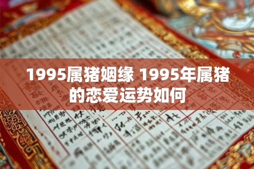 1995属猪姻缘 1995年属猪的恋爱运势如何
