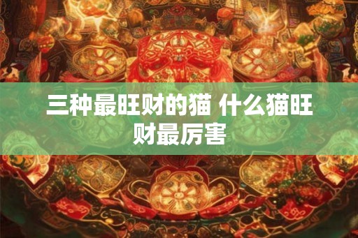三种最旺财的猫 什么猫旺财最厉害