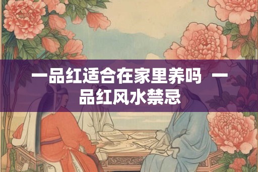 一品红适合在家里养吗  一品红风水禁忌