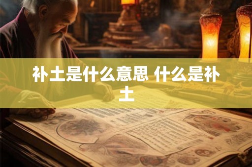 补土是什么意思 什么是补土