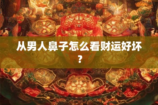 从男人鼻子怎么看财运好坏? 从男人鼻子怎么看财运好坏?