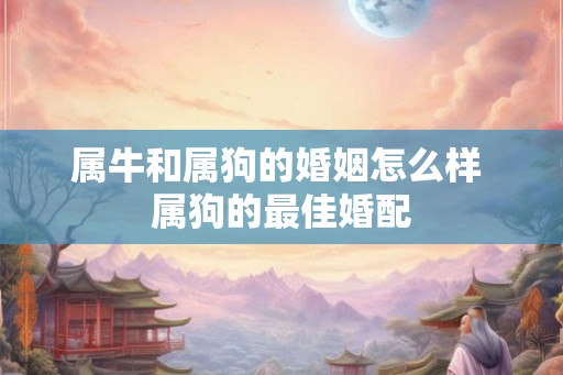 属牛和属狗的婚姻怎么样 属狗的最佳婚配