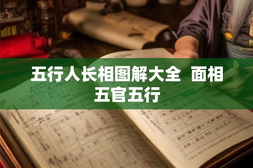 五行人长相图解大全  面相五官五行
