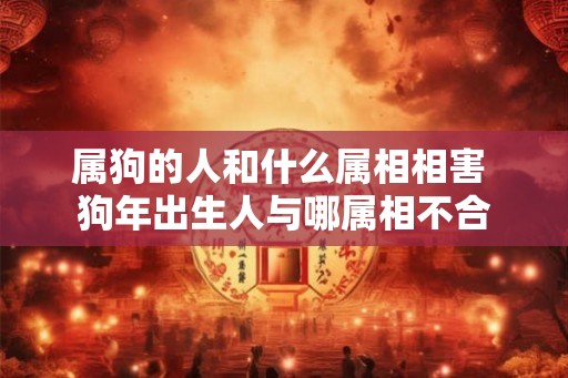属狗的人和什么属相相害 狗年出生人与哪属相不合
