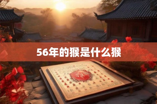 56年的猴是什么猴