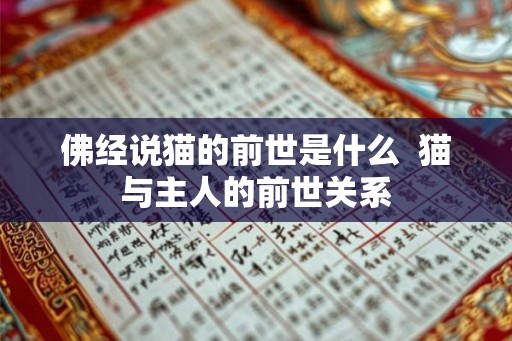 佛经说猫的前世是什么  猫与主人的前世关系