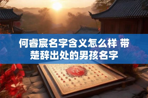 何睿宸名字含义怎么样 带楚辞出处的男孩名字