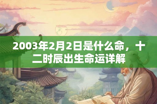 2003年2月2日是什么命,十二时辰出生命运详解 2003年2月2日是什么命,十二时辰出生命运详解