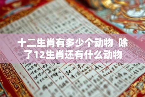 十二生肖有多少个动物  除了12生肖还有什么动物