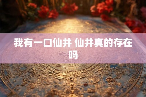 我有一口仙井 仙井真的存在吗 我有一口仙井 仙井真的存在吗