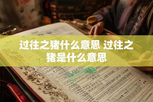 过往之猪什么意思 过往之猪是什么意思