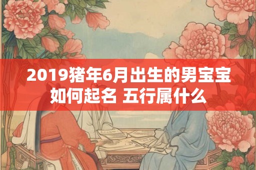 2019猪年6月出生的男宝宝如何起名 五行属什么