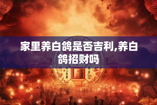 家里养白鸽是否吉利,养白鸽招财吗