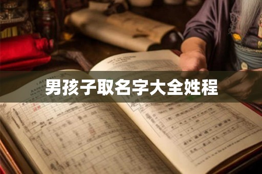 男孩子取名字大全姓程