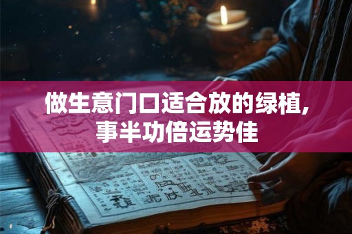 做生意门口适合放的绿植,事半功倍运势佳