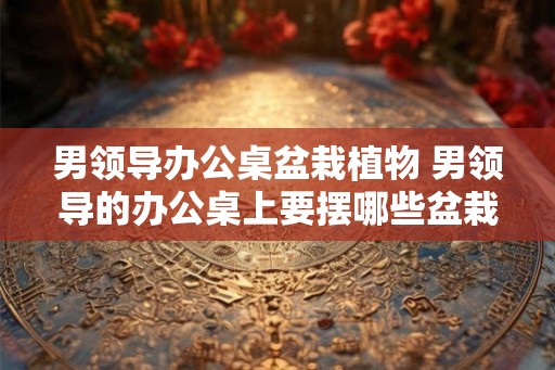 男领导办公桌盆栽植物 男领导的办公桌上要摆哪些盆栽植物