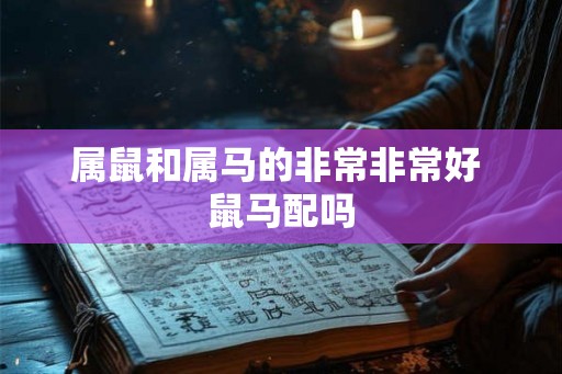属鼠和属马的非常非常好 鼠马配吗