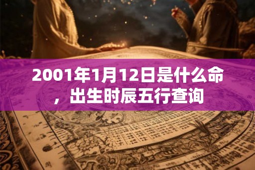 2001年1月12日是什么命，出生时辰五行查询
