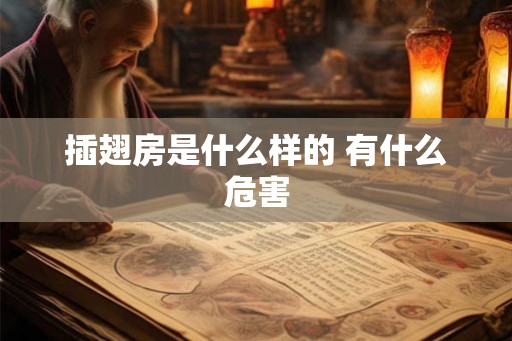 插翅房是什么样的 有什么危害