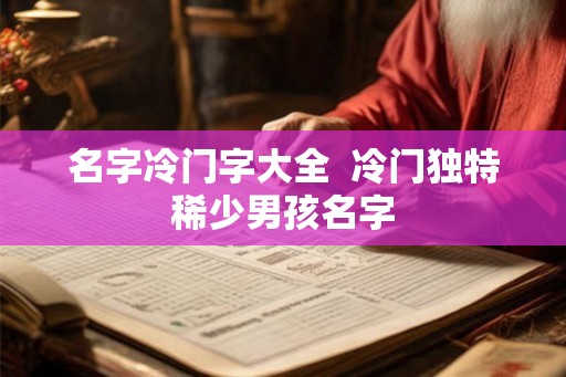 名字冷门字大全  冷门独特稀少男孩名字