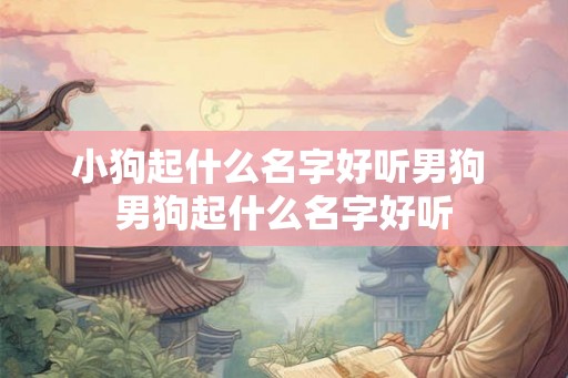 小狗起什么名字好听男狗 男狗起什么名字好听 小狗起什么名字好听男狗 男狗起什么名字好听