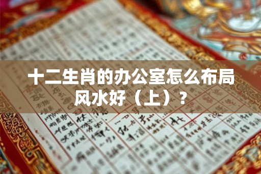 十二生肖的办公室怎么布局风水好（上）？